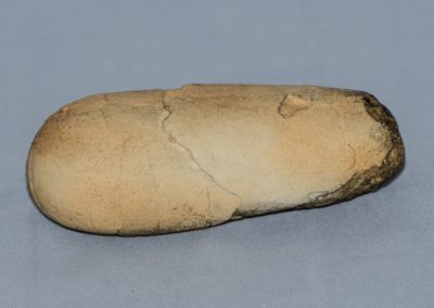 Oviraptor Egg